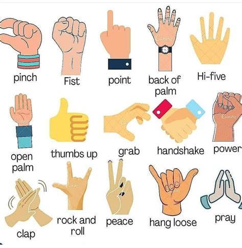 SAMPLE HAND GESTURES .